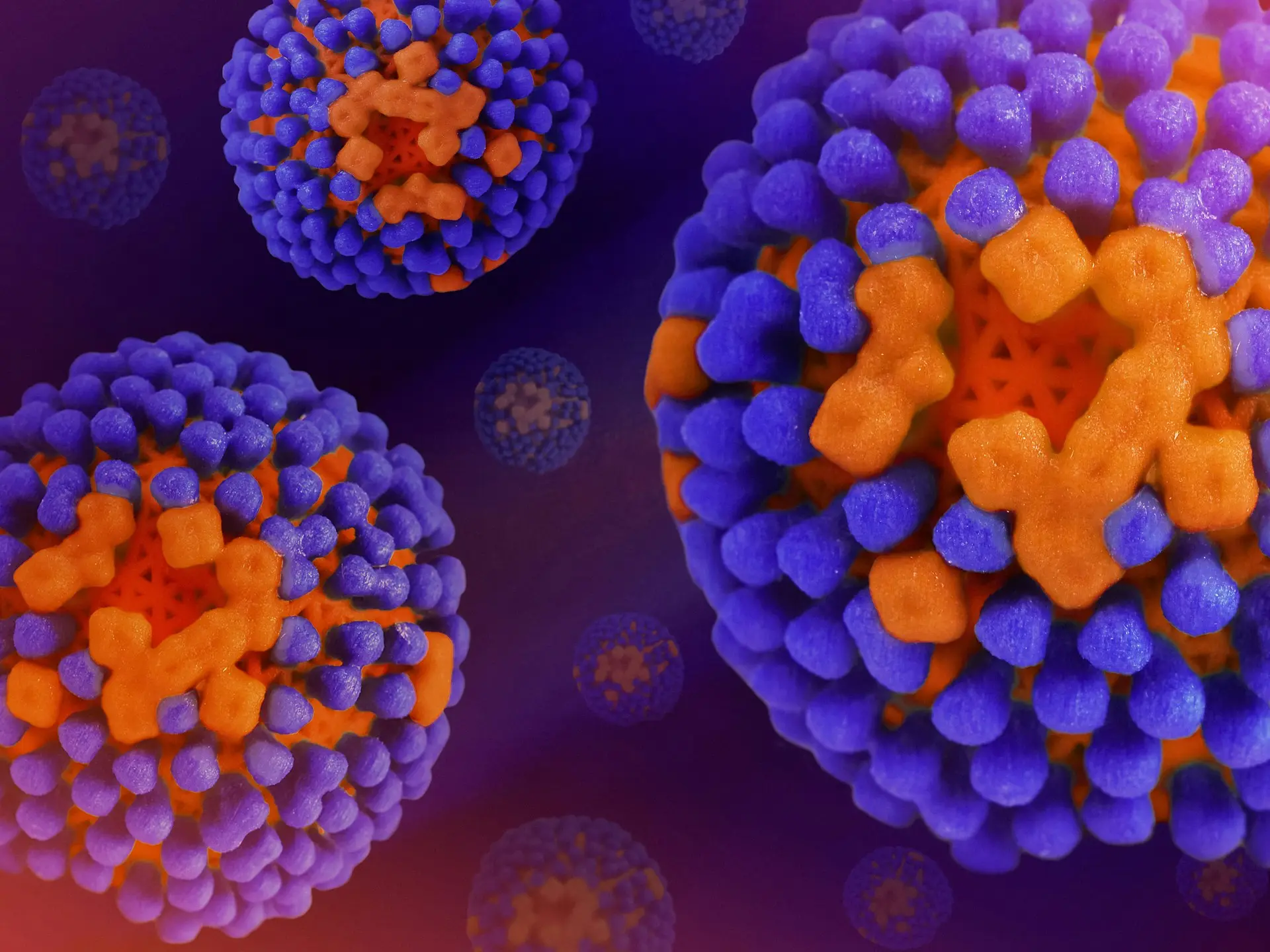 a close up of a purple and orange object