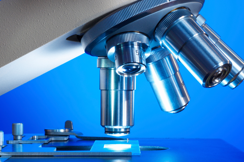 Phenylmercuric Acetate 5g