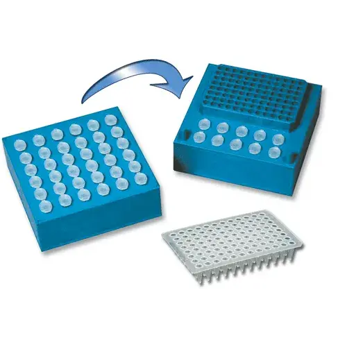 Dual Apoptosis Assay with NucView 488 Caspase-3 Substrate and CF640R-Annexin V