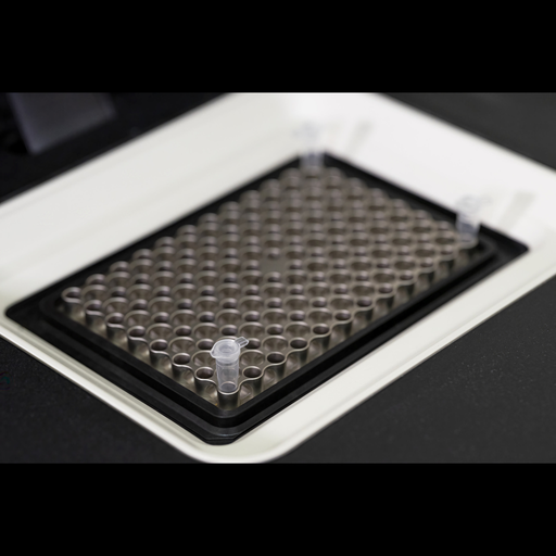 [RW2-743203.500] NucleoType Seed PCR (500)